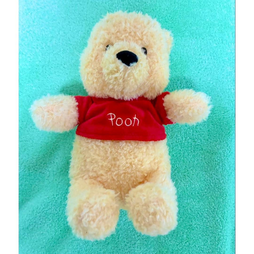 Disney Resort Winnie the Pooh Plush Toy Approx. 21cm