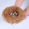 30g/100g Fibra de Coco Material para Ninho Fibra de Ninho Pássaros de Gaiola Canários Pintassilgos Ninho Grama Preenchida Acessórios para Gaiola de Pássaros