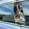 Set of 2 Premium Waterproof Vinyl Stickers for Car B-pillars, Including a Creative B-pillar Protective Film Design.
