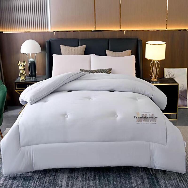 

JunCheng Warm Fleece Winter Quilt