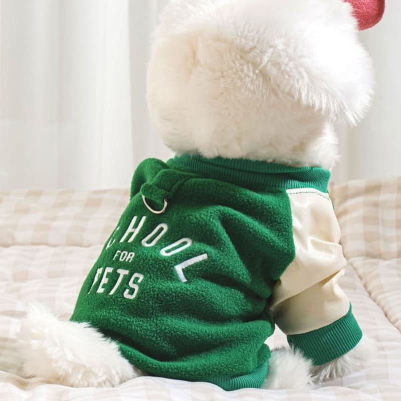 [Pet] Baseballpullover L Grün