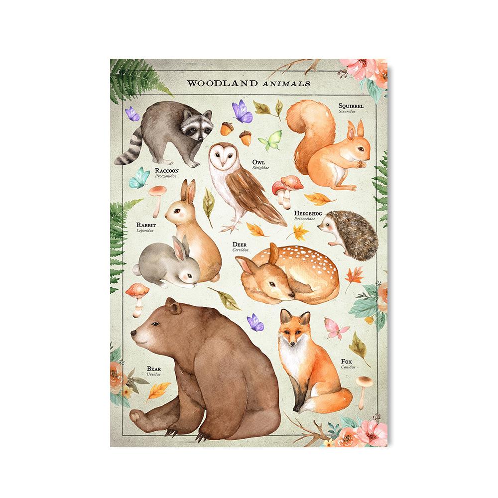 

Винтажные лесные животные диаграмма образовательный принт герой плакат с изображением енота Цитата настенная живопись на холсте картина для декора детской комнаты 21*30cm