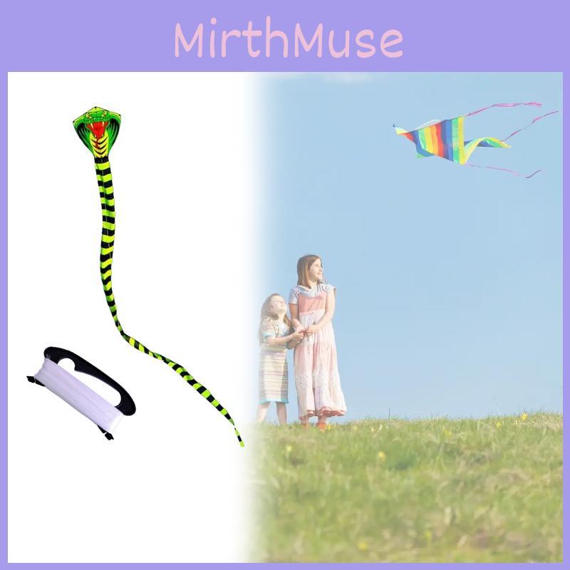 Snake Polyester Lightweight Triangle Kite Glass Fiber Structure Travel Festival