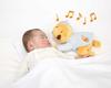 Disney Sleep Together Melody Winnie the Pooh