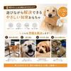 2 Pieces Dog Toy, Chew Toy, Talking Plush, Dinosaur Design, Chew Resistant, Tooth Brushing Prevention, Educational, Stress Relief, Soft Material,