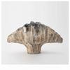 Abstract Ceramic Handicrafts Pleated Flowerpot Shell Vase Wavy Flower Vase Flower Arrangement Home Decoration Accessories