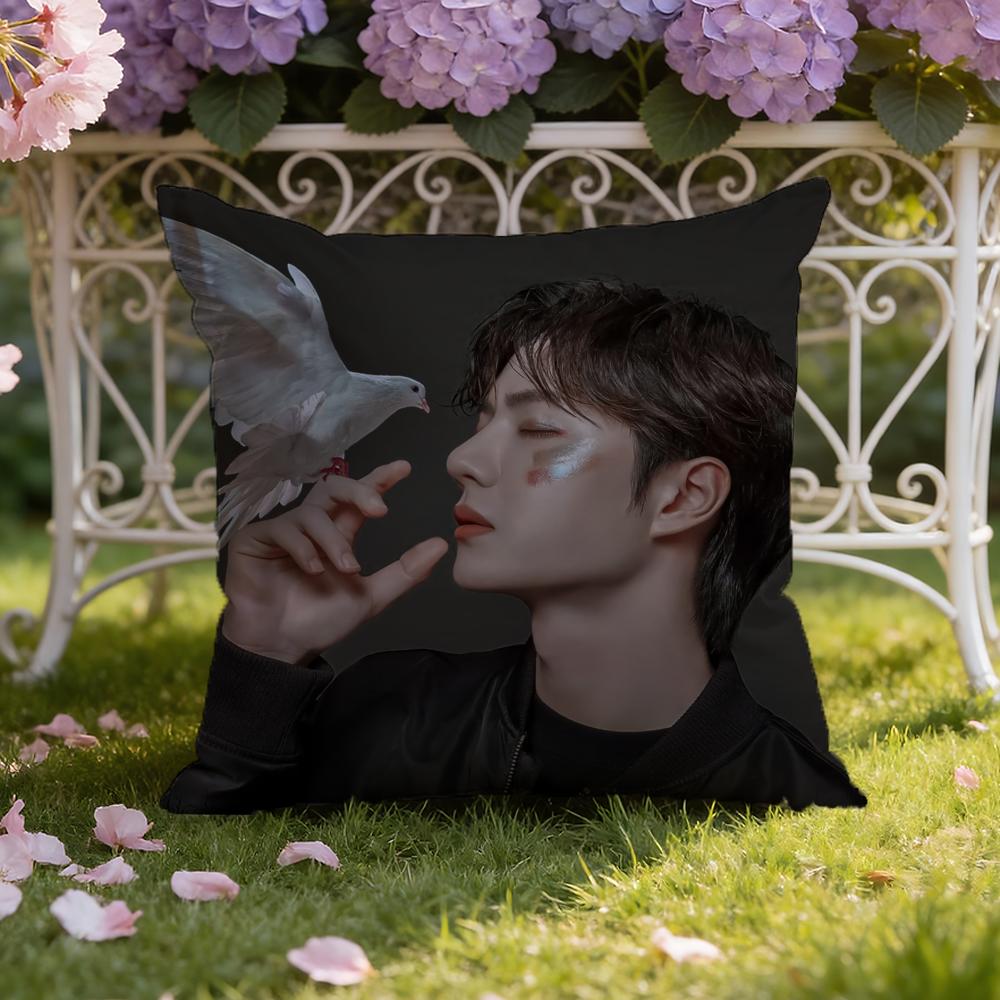 Singer W-Wang Yibo Cushion Cover Home & Car Dual-Scene Pillow Cover: Reversible For Premium Comfort