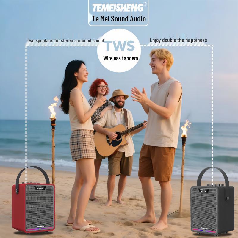 TEMEISHENG Ark V12 Portable Bluetooth Party Speaker CN Plug (adapter Included) (CN Version)