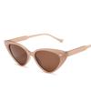 Vintage Cat eye Sunglasses Women Sexy Retro Small Cat Eye Sun Glasses Brand Designer Colorful Eyewear For Female