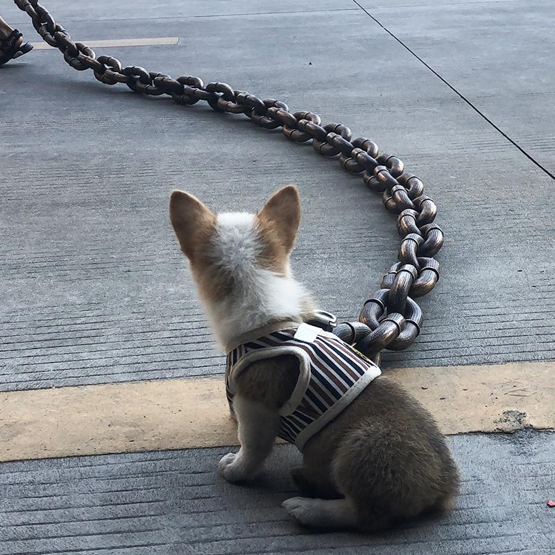 Kreative Hundeleine Lustige Hundekette Lange Welpenleine Große Hunde Spielzeugkette Zubehör Geschirr Leine Dinge für Hunde Lanyard