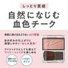 Cezanne Cheek Brush 04 Pure Pink 2.2g Color Blending Natural Flush