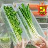 Fresh Box Refrigerator Storage Boxes Scallions Food Container with Lid Cold Crisper Sealed Kitchen Fresh Fruit Fridge Organizer