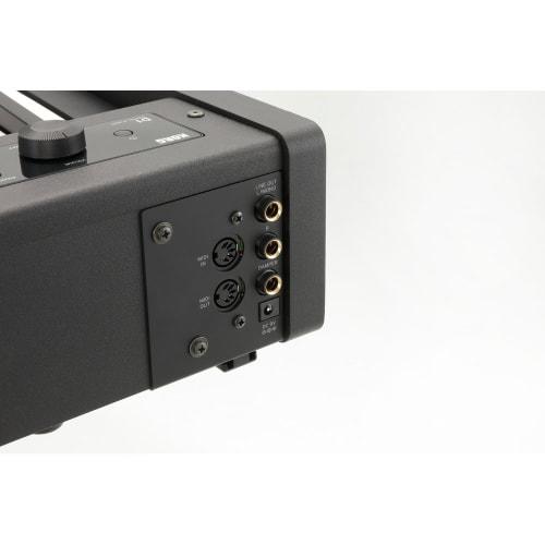 KORG D1 88-Key Digital Piano for Beginners, Made In Japan RH3 Keyboard, Damper Pedal, Music Stand Included, Repeated Notes, Black