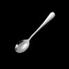 ShengJia 304 Stainless Steel Oval Spoons