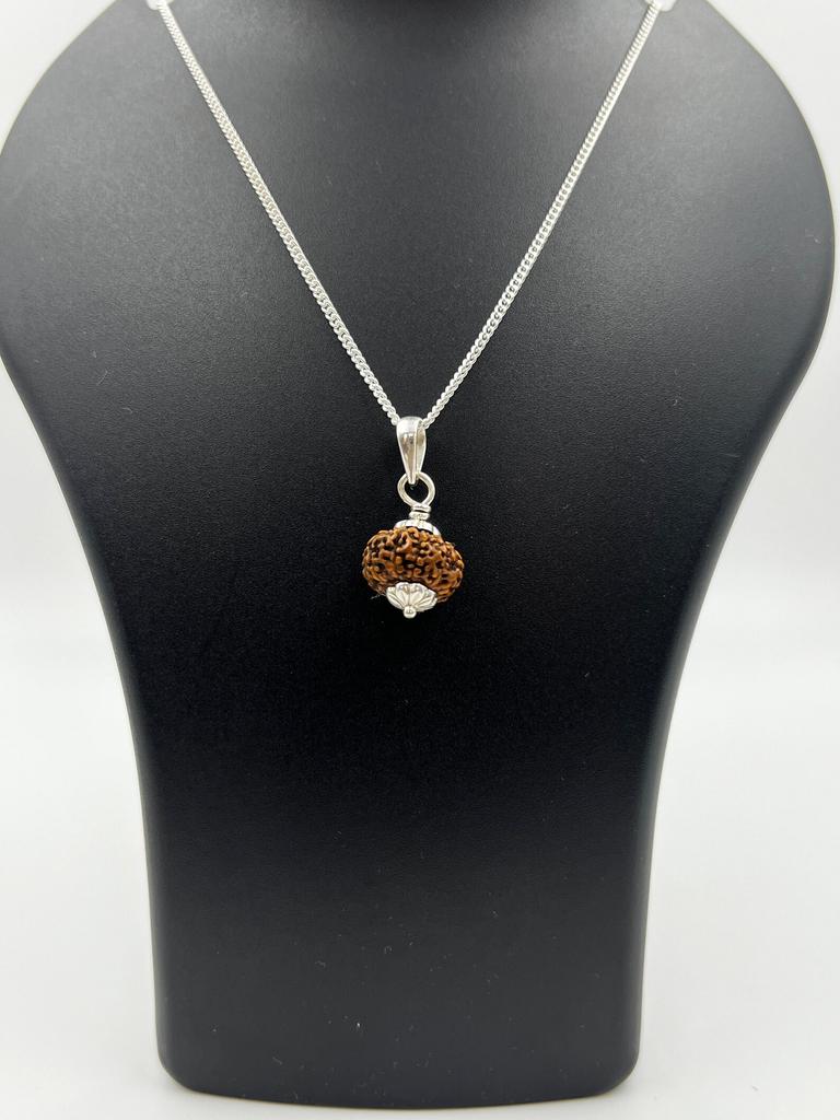 10 Mukhi Indonesia Rudraksha Pendant|925 Silver|Certified Jewelry|Ten Face Rudraksha Necklace|Healing Pendant|Genuine Rudraksha Bead