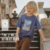David Bella Boys' Short Sleeved T-shirt Summer Outfit New Children's Pure Cotton Base Shirt, Medium and Large Children's Top