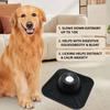 Dog Slow Feeder Bowl 2-in-1 Pet Slow Feeding Dish Silicone Pet