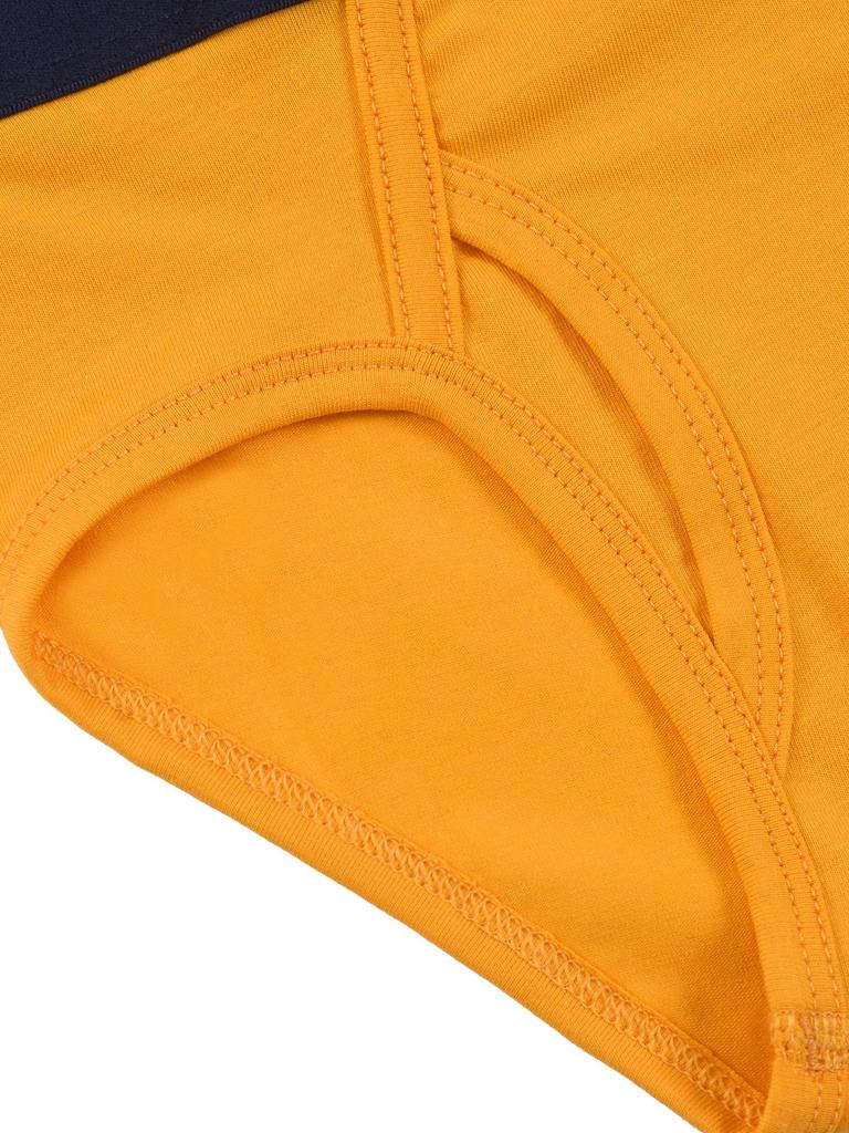 Boys' Combed Cotton Solid Color Elastic Briefs