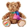 Zappi Pride Teddy Bear