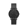 [Skagen] Watch Signatur SKW6902