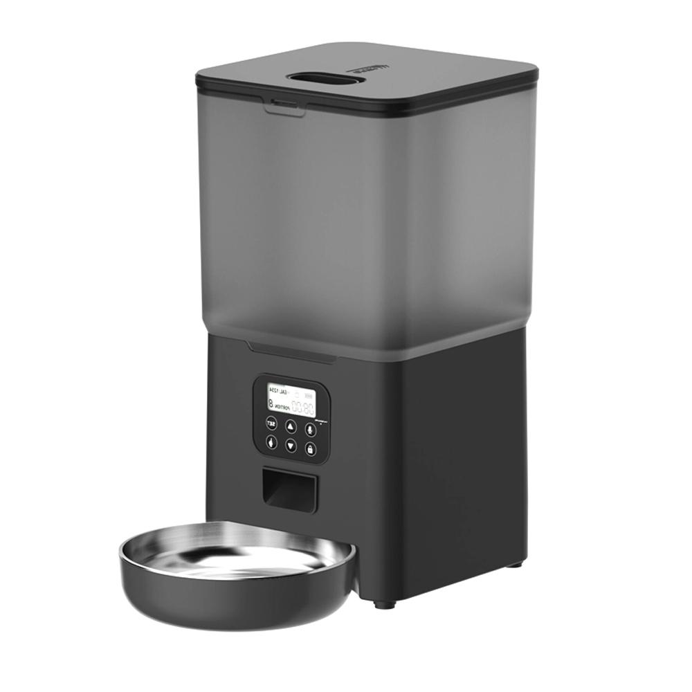 6L