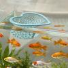 Rede Flutuante para Betta Formato de Coração Esconderijo para Betta no Aquário Anel Alimentador Caverna para Betta Cama Ponto de Descanso para Aquários Nano Corydoras Camarão