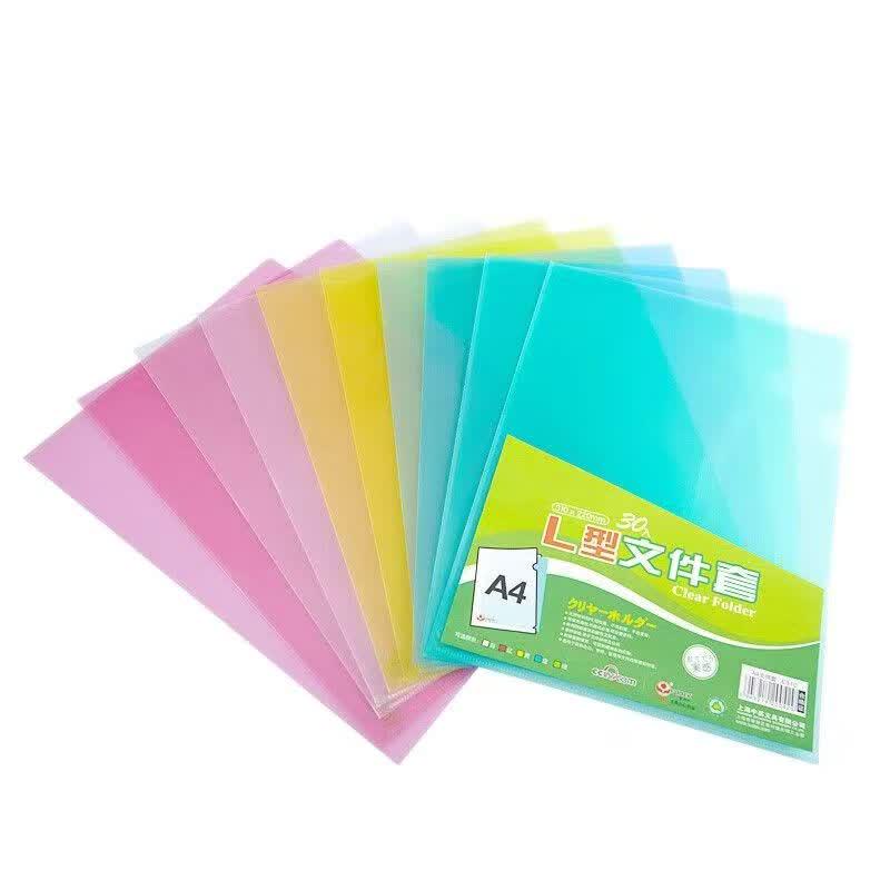 A4 PP Transparent Document Folder
