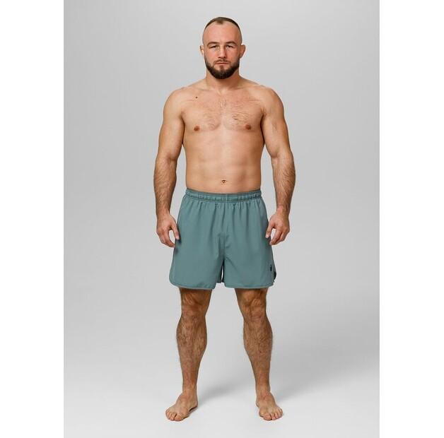 Спортивные шорты PITBULL Performance Pro plus Small Logo II