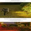 Solar Garden Spotlights Waterproof Adjustable Head Yard Lawn Landscape Lighting