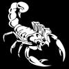 1 Piece 30cm Cute 3D Scorpion Car Stickers Car Styling Vinyl Decal Sticker for Cars Acessories Decoration