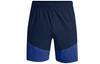 Woven Collection Shorts Men's Dark Blue 1366167-408