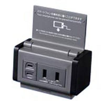 Freiliegende Steckdose mit Ständer USB-Steckdose für 2 Steckdosen mit grauer WK16211H-Abdeckung, Funktion, Aufladen, Anschlüsse, 3 A, Tür,