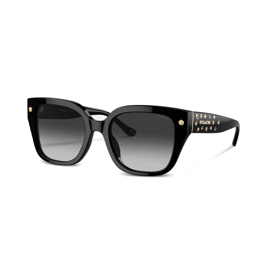 Coach Square Sunglasses With Logo Women sunglasses Black CR611BLK F,Black