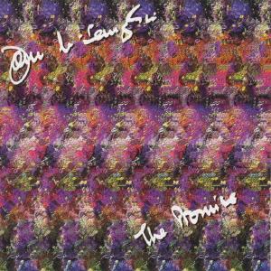 CD JOHN MCLAUGHLIN Promise POCJ1315 VERVE 1996 Japan Jazz Used