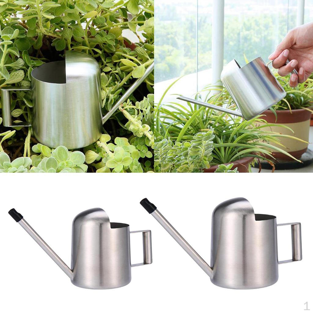 

Compact Watering Spout for Small Indoor Plants 300ml