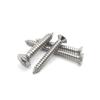 Guanshi 304 Stainless Steel Countersunk Head Phillips Screws