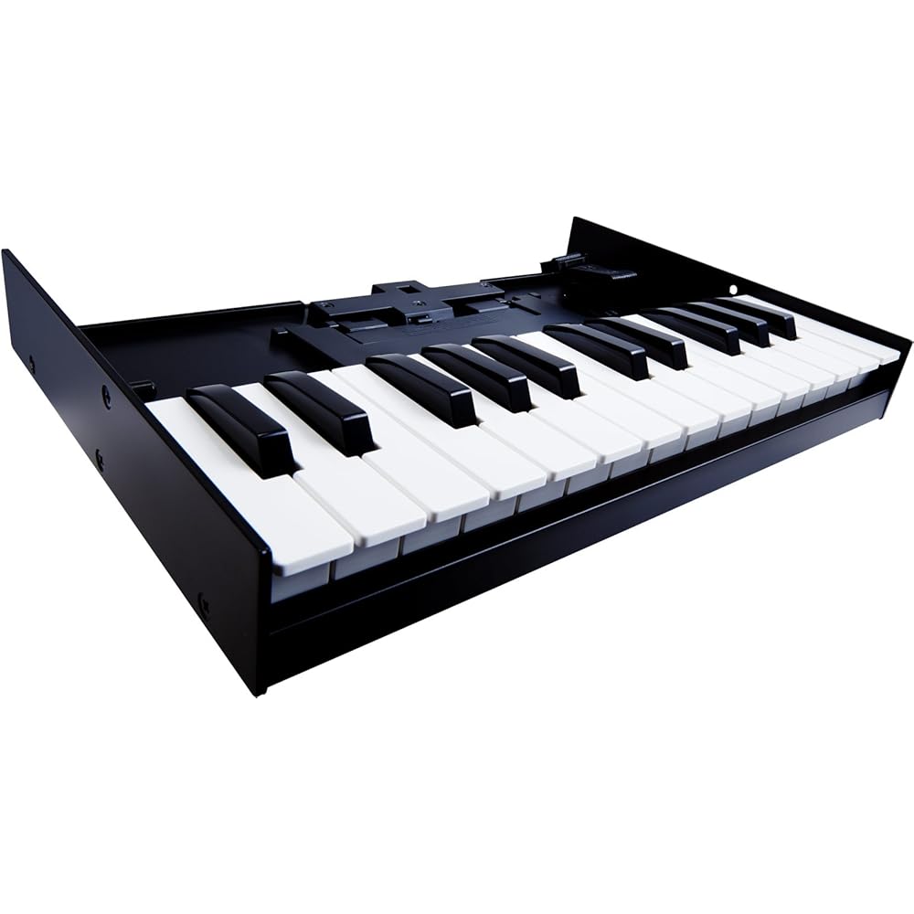Roland Keyboard Unit K-25M Roland Roland Boutique Series dedicated keyboard