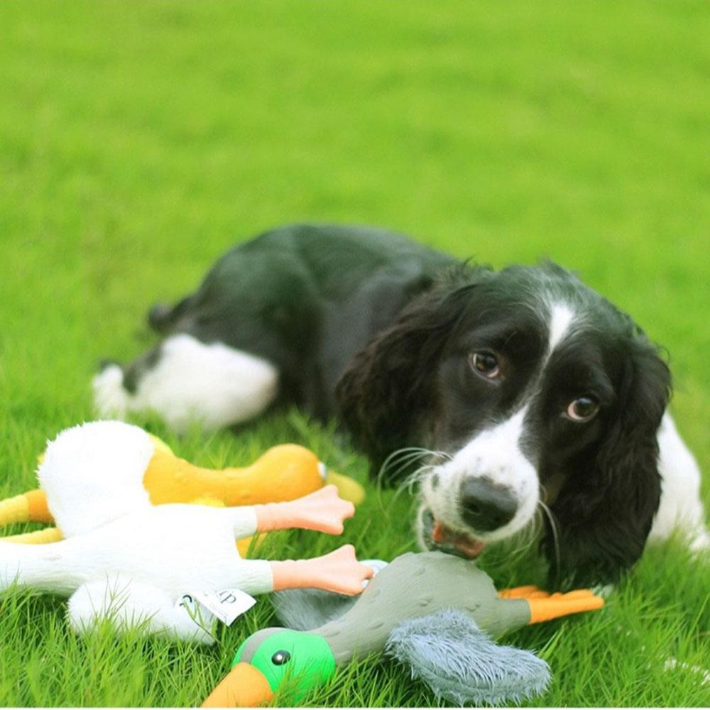 Dog Squeaky Interactive Toy - Bite-Resistant Molar Chew Toy with Funny Sound, Self-Playing Boredom Relief Pet Toy,