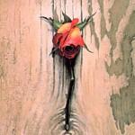 

CD HYDE - evergreen KSCL411 Haunted Records 2001 Japan Rock Used