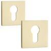 Square Rosette Insert Plate for Interior Door Handle Gold
