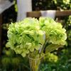 Artificial Flower Vintage Realistic Long Stem Green Large Leaves Hydrangea Fake Plant