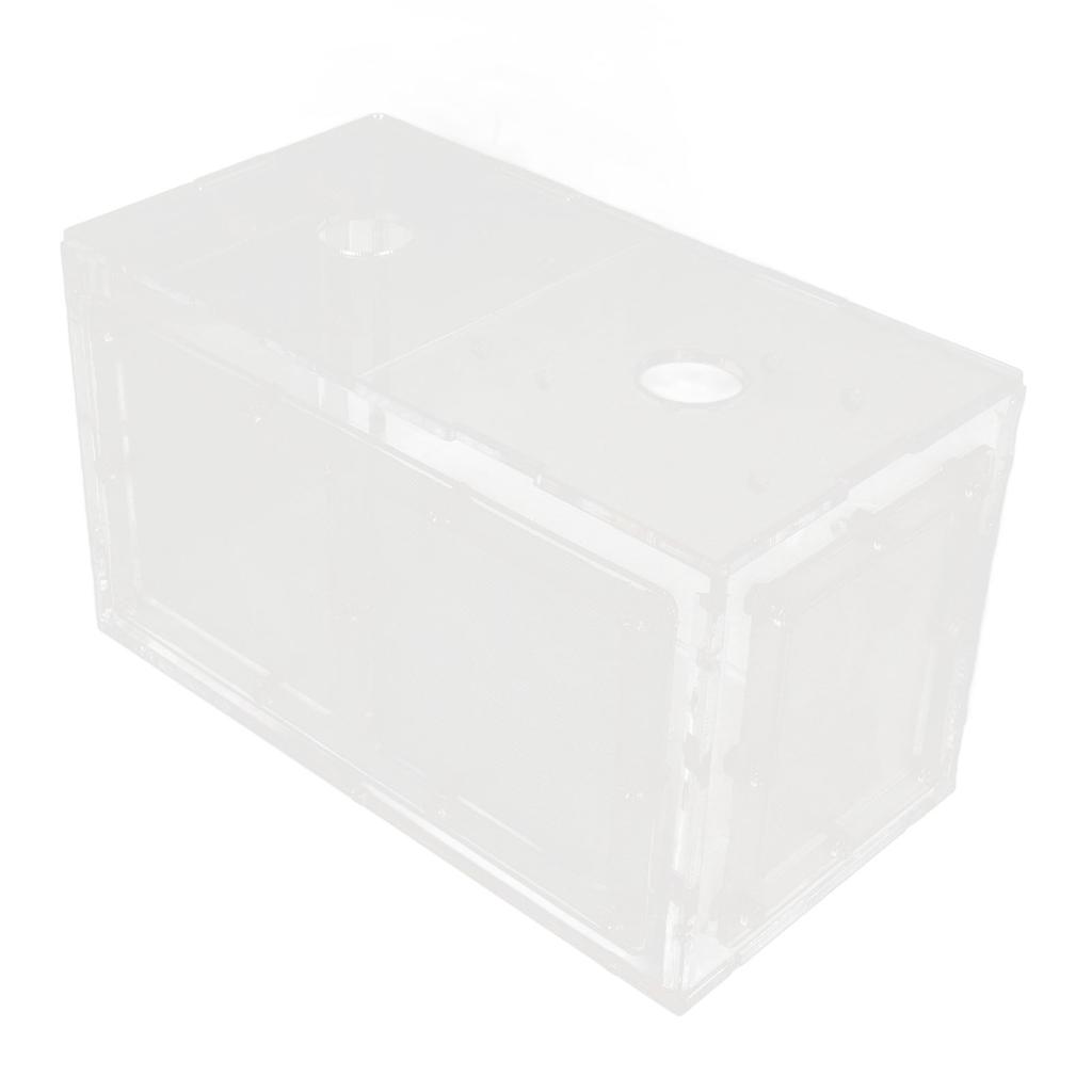 Fischzucht Isolierbox Transparente Netzseite Fischtank Inkubator für Aquarium Kleine Fische