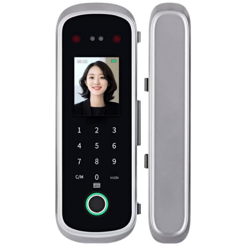 Realand F207T04 Multi-Function Smart Access Control Lock CN plug (adapter included)