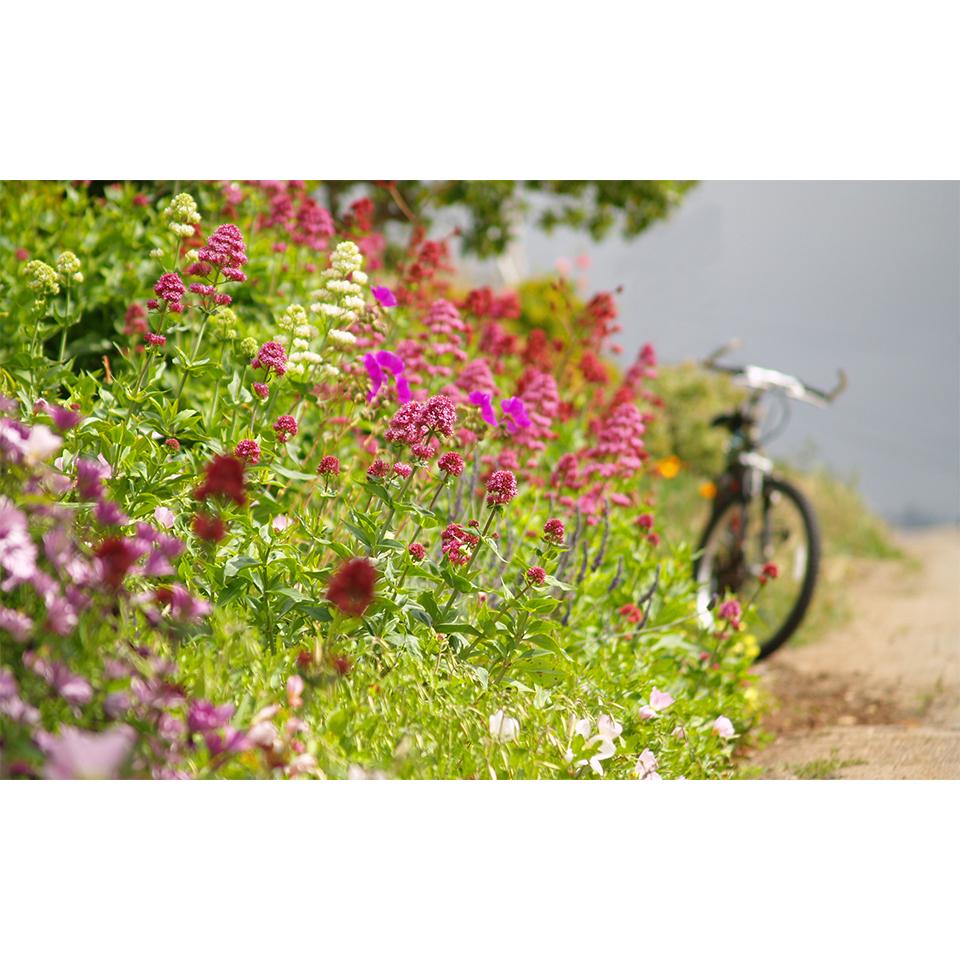 Landscape DIY5D Diamond Painting Rhinestone Pictures Mosaic Landscape Cross Stitch Kit