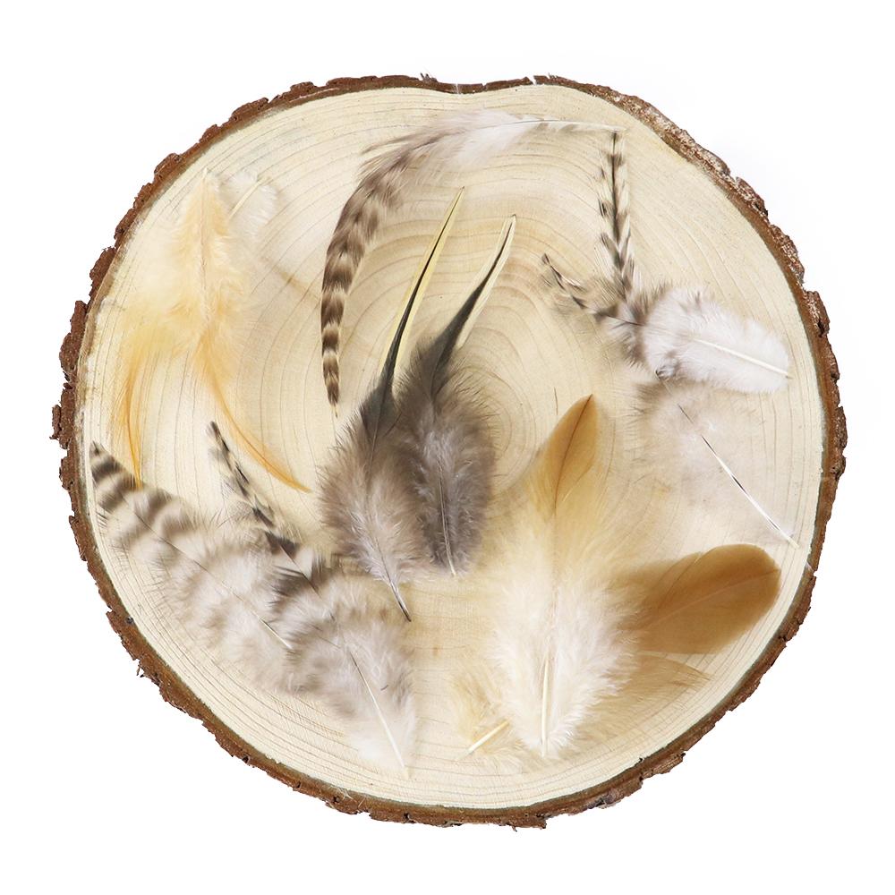 50/100Pcs Natural Pheasant Feathers Diy Crafts Jewelry Accessory Decoration Rooster Plumes High Quality
