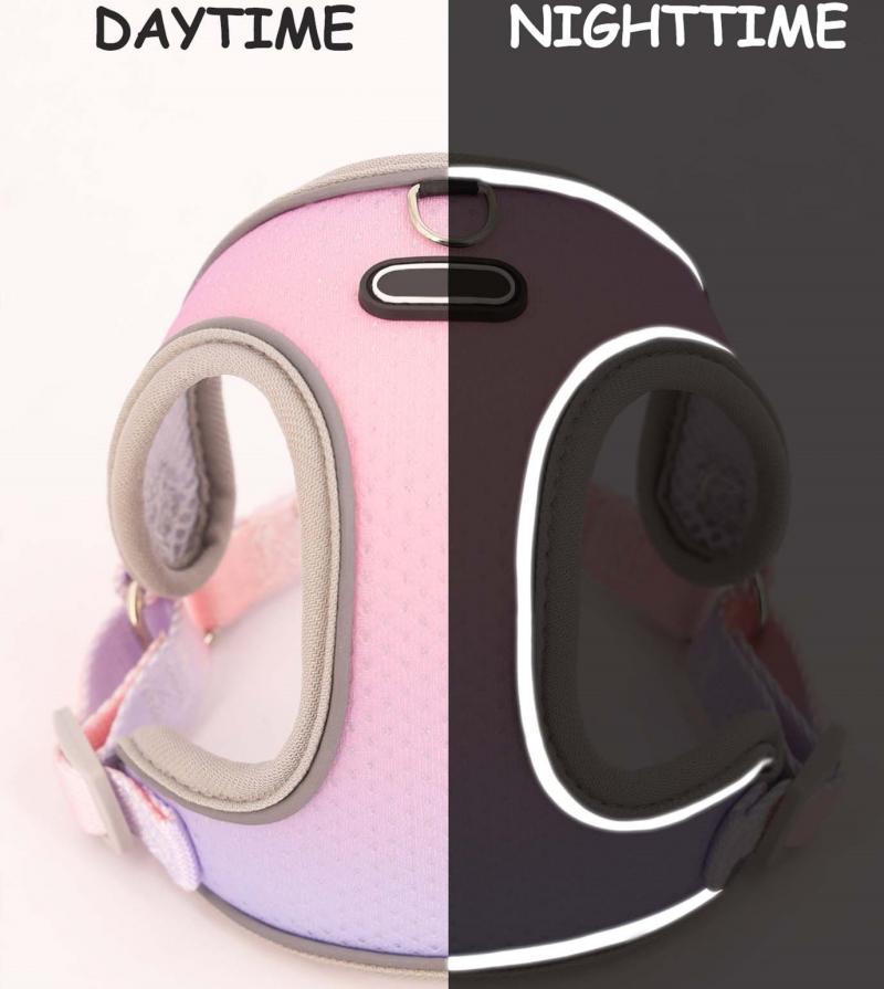 Escape Proof Cat Harness and Leash Set Adjustable Mesh Dog Harness Vest Puppy Pet Walking Lead Leash Small Dogs Cats Kitten