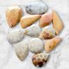 Designer Polished Natural Fossil Coral Cabochon, Loose Cabochon Lot, Mix Lot, Healing Gemstone Lot For Jewelry Making.