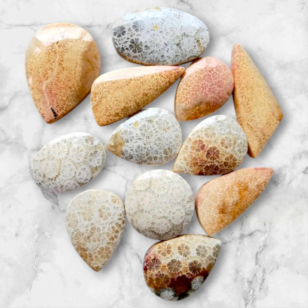Designer Polished Natural Fossil Coral Cabochon, Loose Cabochon Lot, Mix Lot, Healing Gemstone Lot For Jewelry Making.