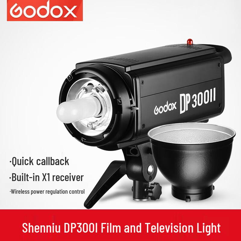 Godox DP300II Studio Flash Light