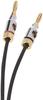AmazonBasics Speaker Cable Wire with Gold Plated Banana Plug CL2-99.9% Oxygen-Free - 1.8m Black